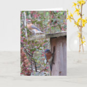 春イースタンブルーバード カード (黄色い花)