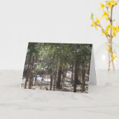 春ウッズ空白のカード カード (黄色い花)