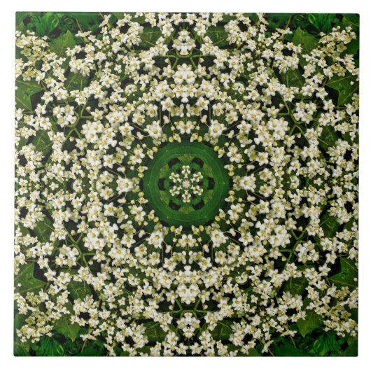 春エルダーベリー花セラミックタイル タイル (正面)