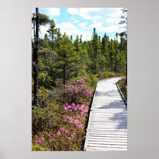 春オンボグウォーク ポスター