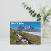 春オン山セントヘレン ポストカード (スタンド正面)