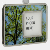 春オークツリー鮮やか自然 シルバープレートフレームオーナメント (右)
