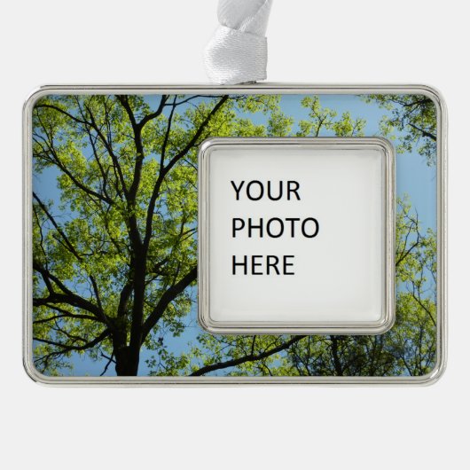 春オークツリー鮮やか自然 シルバープレートフレームオーナメント (正面)