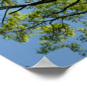 春オークツリー鮮やか自然 ポスター (角)