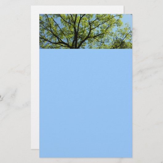 春オークツリー鮮やか自然 便箋 (正面/裏面)