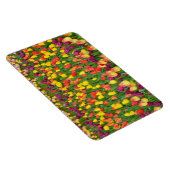 春カラフルチューリッププリント磁石 マグネット (右側)