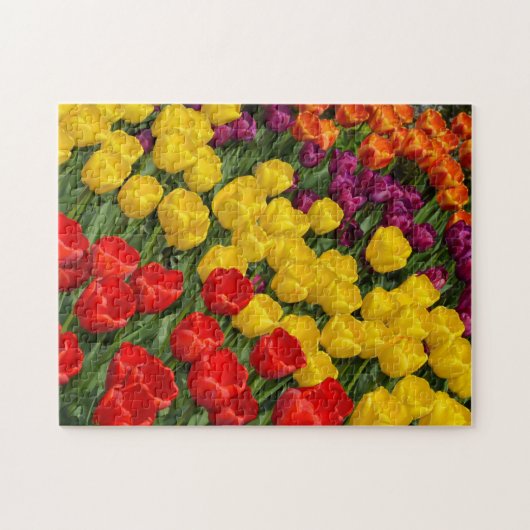 春カラフルチューリップ列ジグソーパズル ジグソーパズル (横)