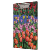 春カラフルチューリップ クリップボード (左)