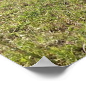 春カルベスのポスター ポスター (角)