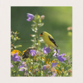 春ガーデンコレクション 名刺 (内部フラット)