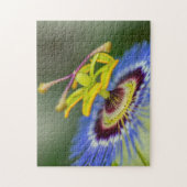 春ガーデン – パッションフラワー ジグソーパズル (縦)