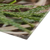 春キノコ切断板 カッティングボード (角)