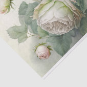 春キャベツバラティッシュペーパー 薄葉紙 (詳細)