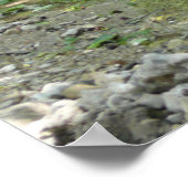 春クリークトリビュータリ ポスター (角)