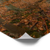 春クリーク、クヤホガバレーNP、オハイオ ポスター (角)