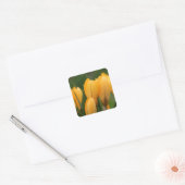 春クロキュースエンベロープシーラーシール スクエアシール (封筒)