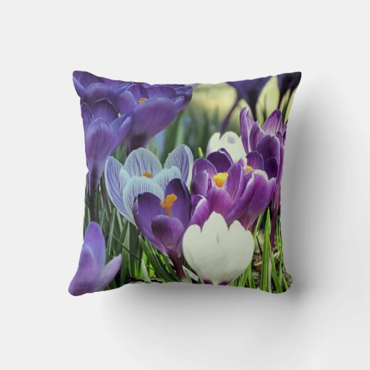 春クロキュース – 枕 (裏面)