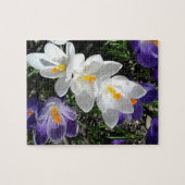 春クロッカスフラワーズインザパーク ジグソーパズル (横)