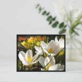 春クロッカスポストカード招待状 インビテーションポストカード (スタンド正面)