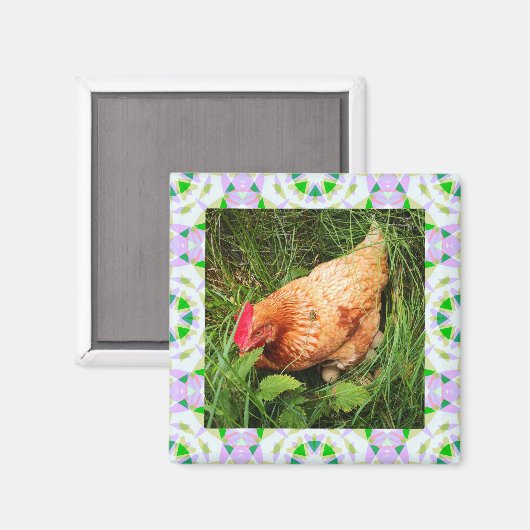 春グリーンとイースターピンク星正方形フレーム マグネット (正面/裏面)