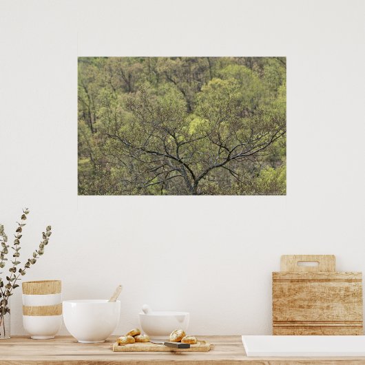 春グリーンインザアウェイクニングフォレストポスター ポスター (キッチン)