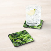 春グリーンシダ植物学 コースター (右側)