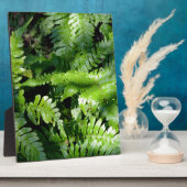 春グリーンシダ植物学 フォトプラーク (側面)