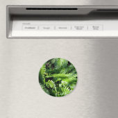 春グリーンシダ植物学 マグネット (インサイチュ (食洗機))