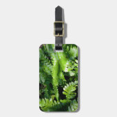 春グリーンシダ熱帯植物の緑 ラゲッジタグ (正面縦)