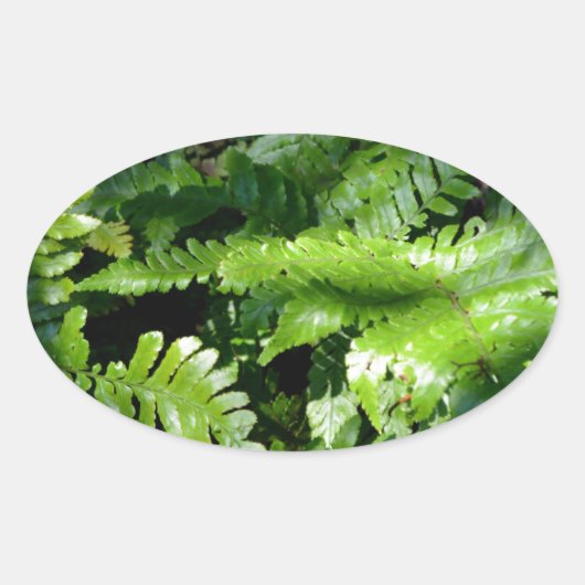 春グリーンシダ熱帯植物の緑 楕円形シール (正面)