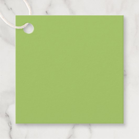 春グリーン、淡い緑無地の、薄い緑 フェイバータグ (正面)