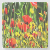 春ケシと牧草花絵画の ストーンコースター (正面)