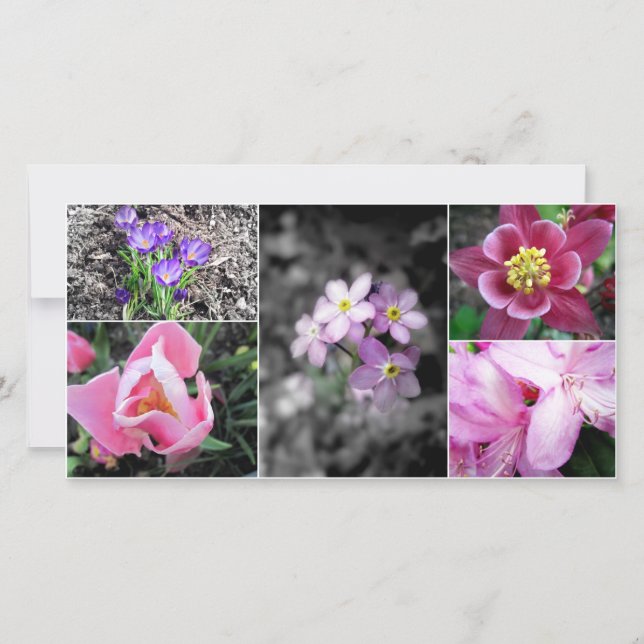 春コラージュフォトカード (正面)