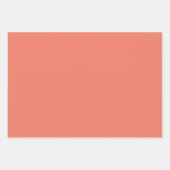 春サマーカラーピーチピンク ラッピングペーパーシート (正面3)