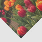 春サマーフィールドオブチューリップデクページ紙 薄葉紙 (詳細)