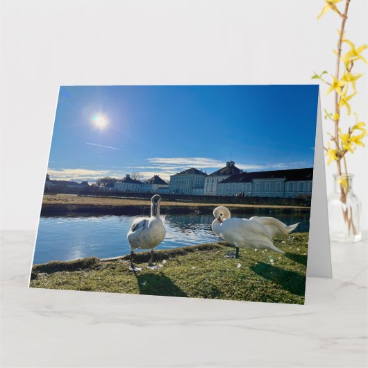 春サン カード (黄色い花)