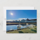 春サン カード (正面)