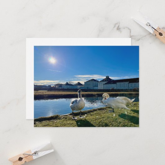 春サン カード (正面/裏面インサイチュ)