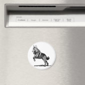 春シェフェルンド マグネット (インサイチュ (食洗機))