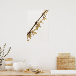 春シャワーForsythia Flowersポスター ポスター