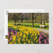 春シーズンフラワーガーデンはがき ポストカード (正面/裏面)