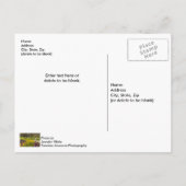 春シーズンフラワーガーデンはがき ポストカード (裏面)