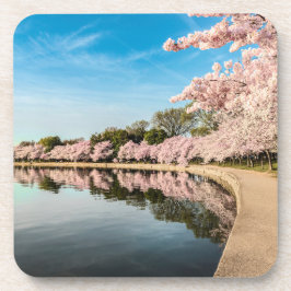 春シーンコースター コースター