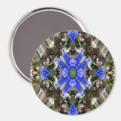 春スター… マグネット (正面/裏面)