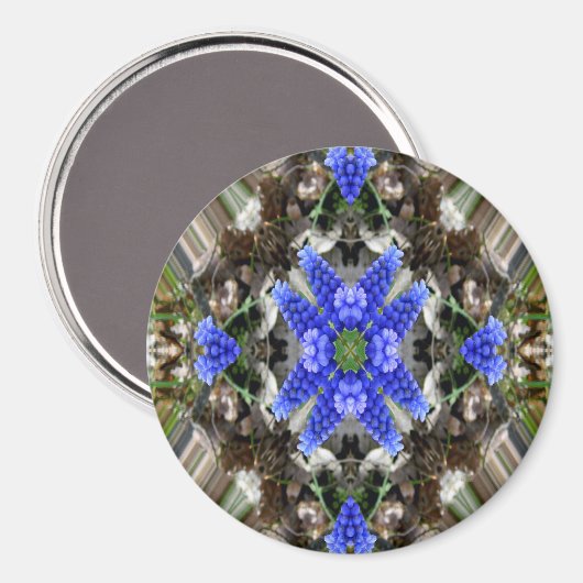 春スター… マグネット (正面/裏面)