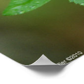 春ストーム美しいワイルドバラインザレインポスター ポスター (角)