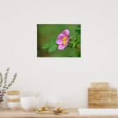 春ストーム美しいワイルドバラインザレインポスター ポスター (キッチン)