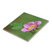 春ストーム美しいワイルドバラインレインタイル タイル (側面)