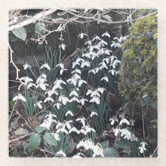 春スノードロップガラスコースター ガラスコースター