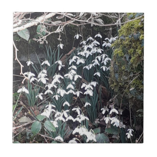 春スノードロップセラミックタイル タイル